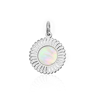 Roestvrij stalen (RVS) Stainless steel bedels schelp 12mm Silver-white (natuurlijke kleur)