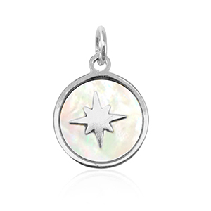 Roestvrij stalen (RVS) Stainless steel bedels schelp 10mm Silver-white (natuurlijke kleur)