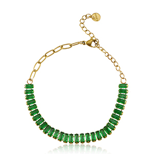 Roestvrij stalen (RVS) Stainless steel armbanden Goud-green