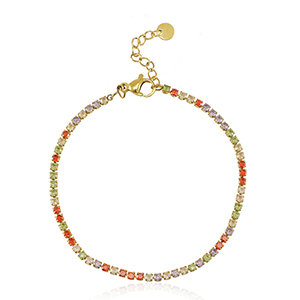 Roestvrij stalen (RVS) Stainless steel armbanden Goud-multicolour