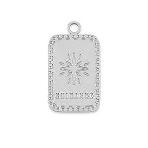Roestvrij stalen (RVS) Stainless steel bedels La Luna 'Guidance' Silver