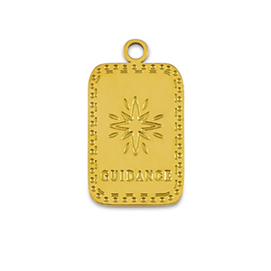 Roestvrij stalen (RVS) Stainless steel bedels La Luna 'Guidance' Gold