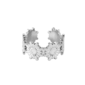 Roestvrij stalen (RVS) Stainless steel ringen Silver