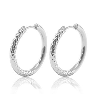 Roestvrij stalen (RVS) Stainless steel oorbellen creolen reversible 23mm Silver
