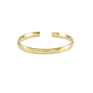 Roestvrij stalen (RVS) Stainless steel ringen facet Goud