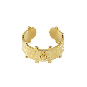 Roestvrij stalen (RVS) Stainless steel ringen met oogje Goud