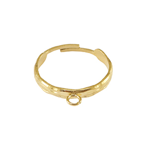 Roestvrij stalen (RVS) Stainless steel ringen met oogje Goud