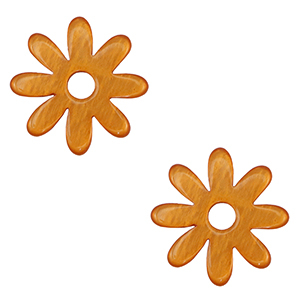 Polaris Lucido hangers bloem Carrot orange