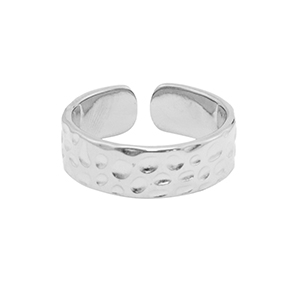 Roestvrij stalen (RVS) Stainless steel ringen Zilver