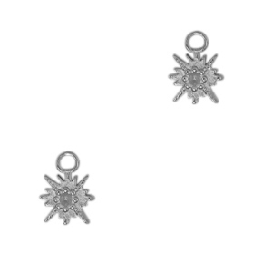Roestvrij stalen (RVS) Stainless steel bedels ster Antiek zilver