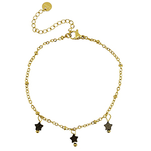Roestvrij stalen (RVS) Stainless steel armbanden ster Gold-black