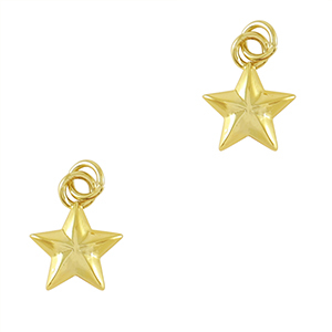 Brass TQ metaal bedels ster Gold