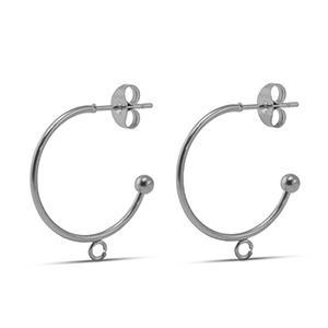 Roestvrij stalen (RVS) Stainless steel oorbellen 19mm Silver