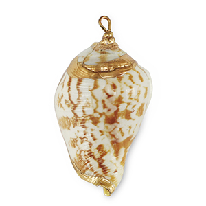 Schelp hangers specials Light brown-gold