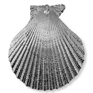 Schelp hangers specials Sint Jacobsschelp Silver