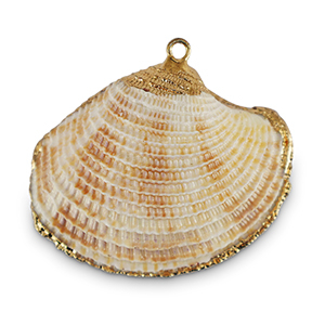 Schelp hangers specials Sint Jacobsschelp Off white-gold