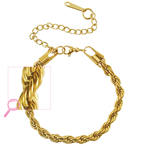 Roestvrij stalen (RVS) Stainless steel armbanden twisted Gold