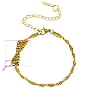 Roestvrij stalen (RVS) Stainless steel armbanden twisted Gold
