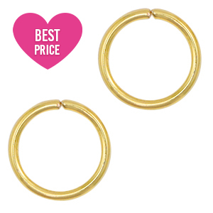 Roestvrij stalen (RVS) stainless steel onderdelen buigring 10mm Goud