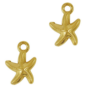 Roestvrij stalen (RVS) Stainless steel bedel zeester Gold