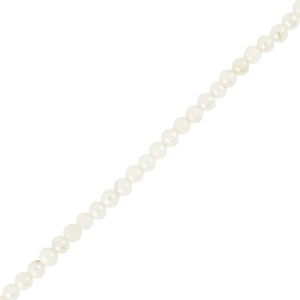 Schelp kralen rond White