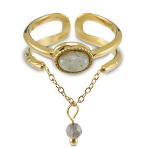Roestvrij stalen (RVS) Stainless steel ringen met natuursteen Gold-greenish grey
