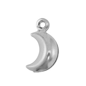 Roestvrij stalen (RVS) Stainless steel bedels maan Silver