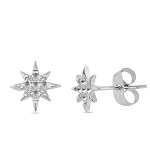 Roestvrij stalen (RVS) Stainless steel oorbellen / oorstekers ster Silver
