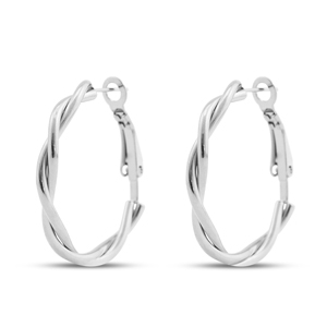 Roestvrij stalen (RVS) Stainless steel oorbellen creolen Silver