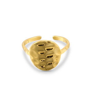 Roestvrij stalen (RVS) Stainless steel ringen Gold