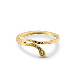 Roestvrij stalen (RVS) Stainless steel ringen slang Gold