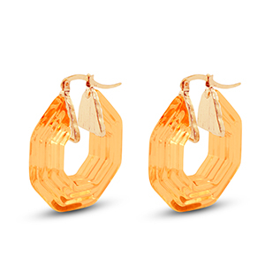Trendy resin oorbellen hexagon Gold-transparent orange