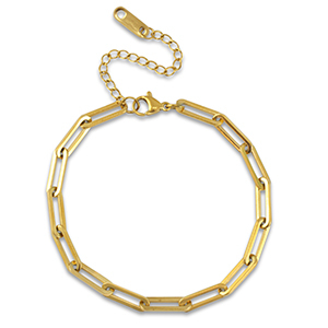 Roestvrij stalen (RVS) Stainless steel schakelarmbanden Gold