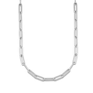 Roestvrij stalen (RVS) Stainless steel schakelkettingen Silver