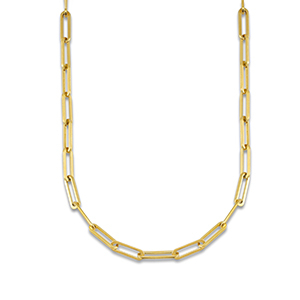 Roestvrij stalen (RVS) Stainless steel schakelkettingen Gold