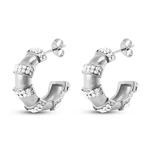 Roestvrij stalen (RVS) Stainless steel oorbellen / oorstekers Silver
