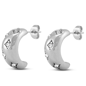 Roestvrij stalen (RVS) Stainless steel oorbellen / oorstekers Silver