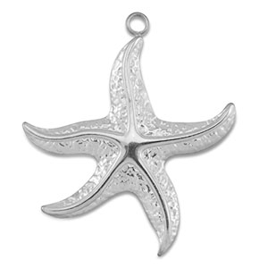 Roestvrij stalen (RVS) Stainless steel hangers zeester Silver