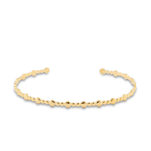 Roestvrij stalen (RVS) Stainless steel armbanden bangle Gold