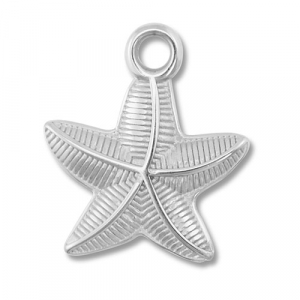 Roestvrij stalen (RVS) Stainless steel bedels zeester Silver
