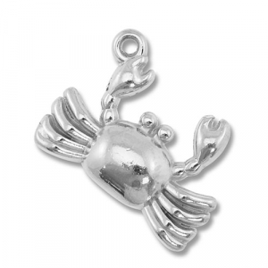 Roestvrij stalen (RVS) Stainless steel bedels krab Silver