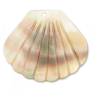 Schelp hangers sint jacobsschelp White (natuurlijke kleur schelp)-brown