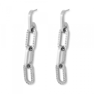 Roestvrij stalen (RVS) Stainless steel oorbellen schakel Silver
