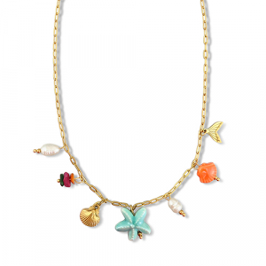 Roestvrij stalen (RVS) Stainless steel kettingen met bedels zeester Gold-multicolour
