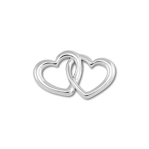 Roestvrij stalen (RVS) stainless steel onderdelen tussenstuk hart Silver
