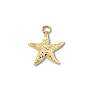 Roestvrij stalen (RVS) Stainless steel bedels zeester Gold