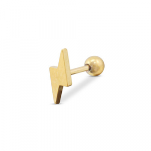 Roestvrij stalen (RVS) Stainless steel oorpiercing bliksem Gold