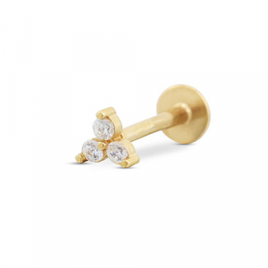 Roestvrij stalen (RVS) Stainless steel oorpiercing driehoek Gold