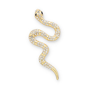 Broches slang Gold-transparent-black