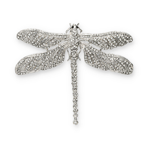 Statement broches libelle Silver-black-transparent